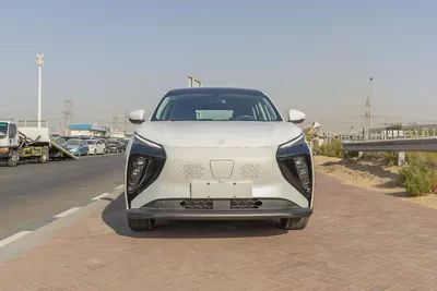 Dong Feng Forthing Friday - Electric - 410km - 2025 (Export)-1