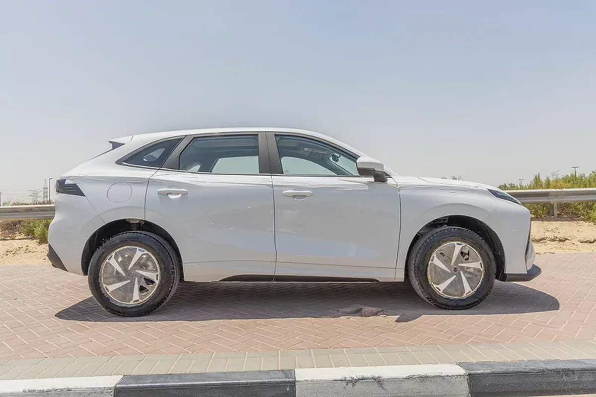Dong Feng Forthing Friday - Electric - 410km - 2025 (Export)-6-6