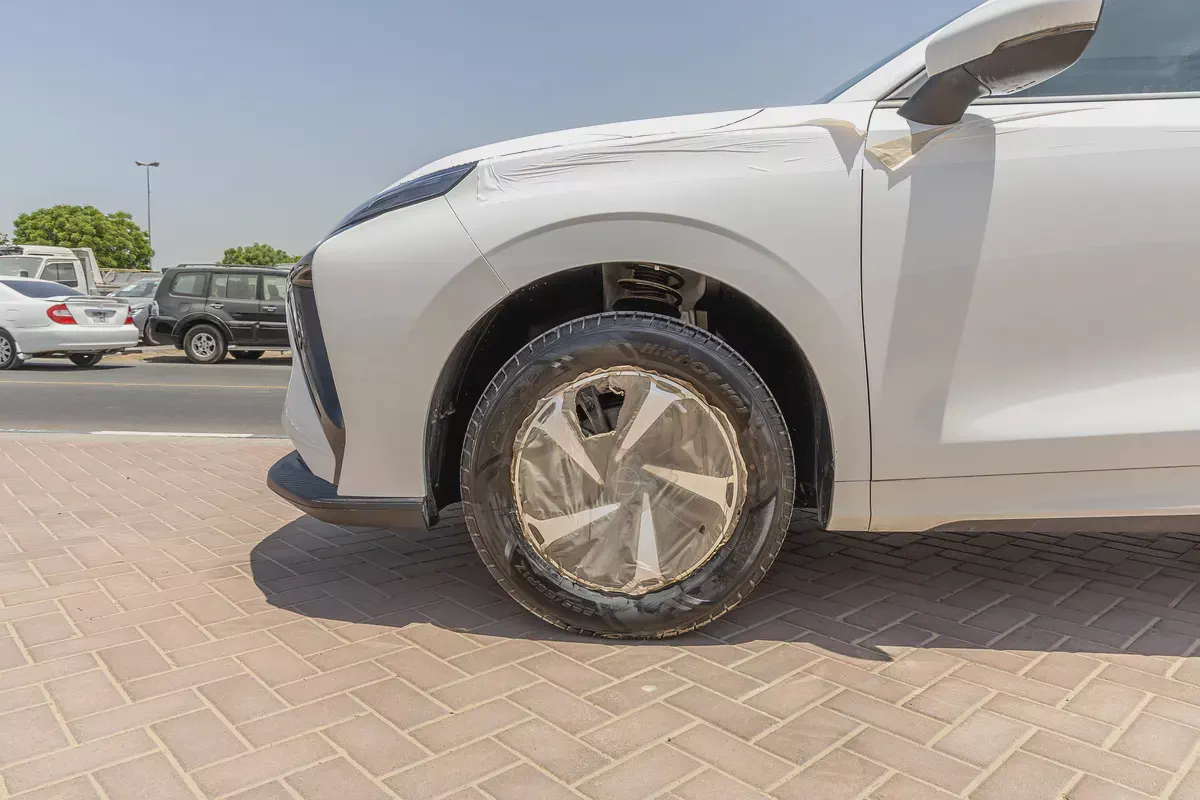 Dong Feng Forthing Friday - Electric - 410km - 2025 (Export)-7-7