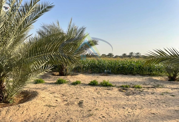 FARM FOR SALE IN AL SAMHA