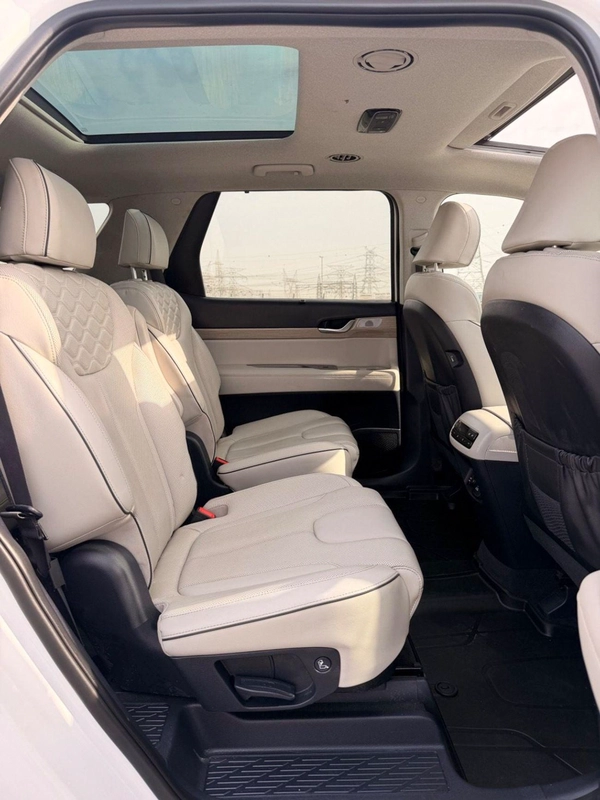 Hyundai Palisade Limited edition | 360 camera, panoramic, head up display full option