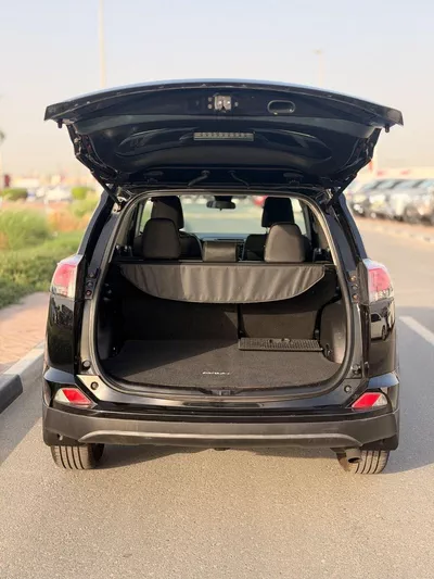 Toyota RAV4 EX 2.5L 2017 RAV4-19
