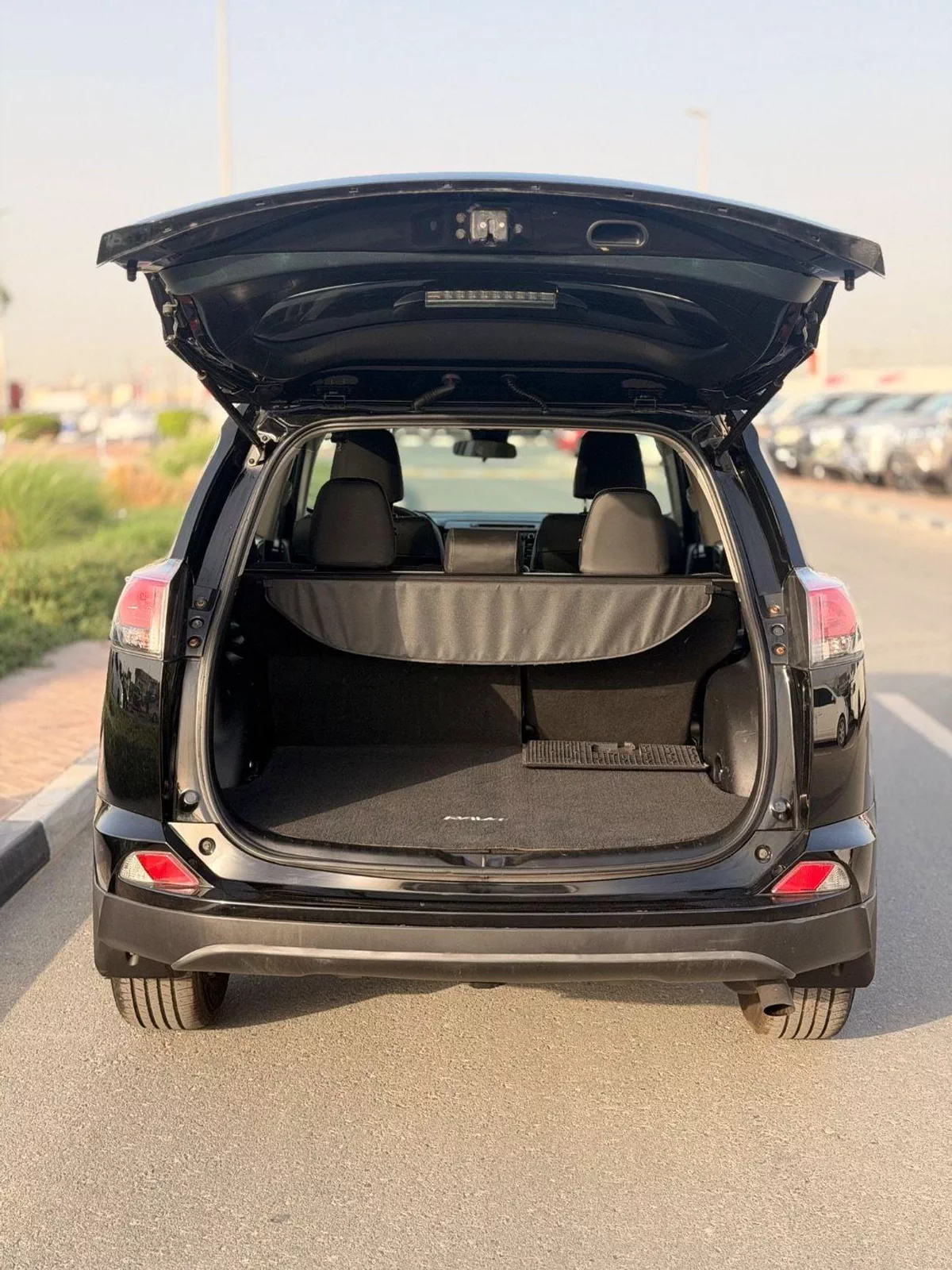 Toyota RAV4 EX 2.5L 2017 RAV4-19-0