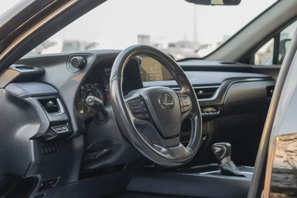 LEXUS UX 200 2019-6-6