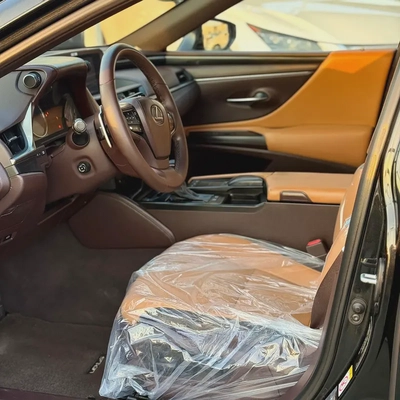 LEXUS ES300 H (2019)// GCC // FULL OPTIONS// ORIGENAL PAINT//GOOD CONDITION//LOW MILLAGE//-11