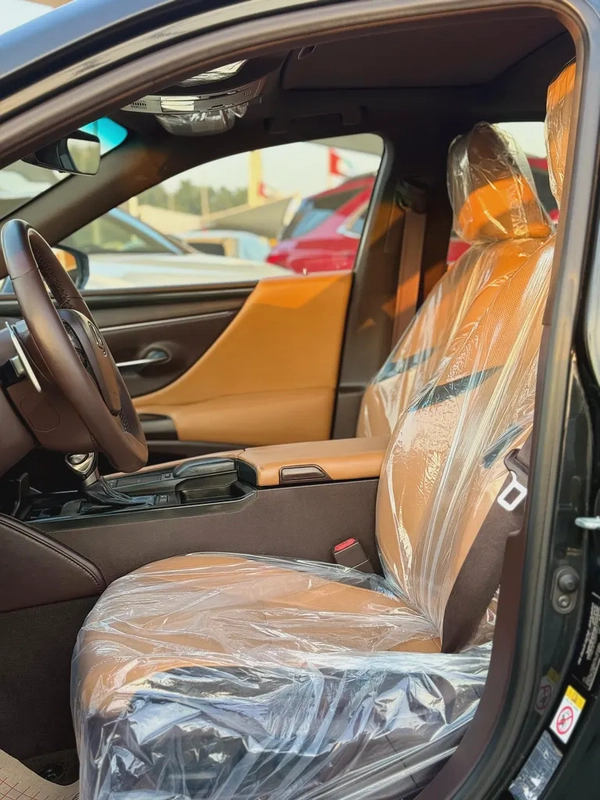 LEXUS ES300 H (2019)// GCC // FULL OPTIONS// ORIGENAL PAINT//GOOD CONDITION//LOW MILLAGE//