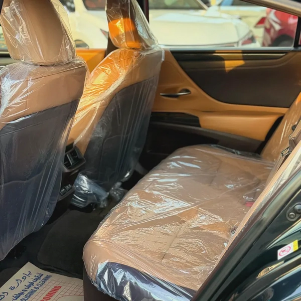LEXUS ES300 H (2019)// GCC // FULL OPTIONS// ORIGENAL PAINT//GOOD CONDITION//LOW MILLAGE//