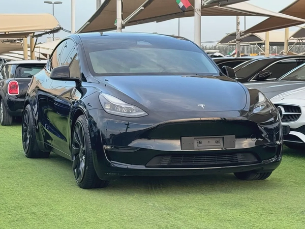 Tesla Model Y Performance 2024 GCC Original Paint