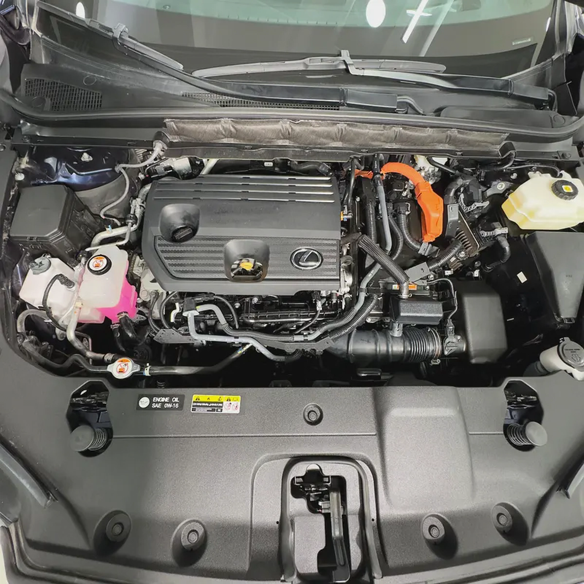 2023 Lexus Rx350 hybrid Platinum-13-13