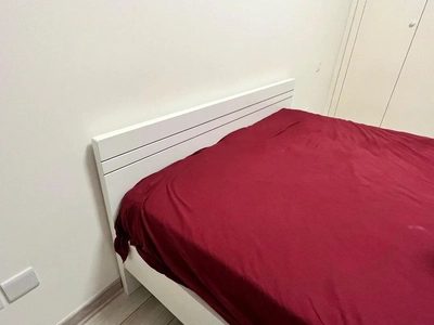 Eco Bed-3