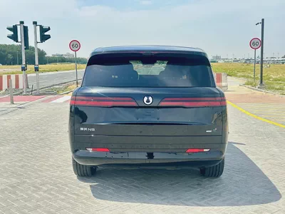 2025 Denza N9 Flagship - Brand New - Chinese Specs-6