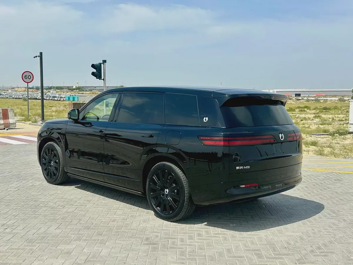 2025 Denza N9 Flagship - Brand New - Chinese Specs-4-4