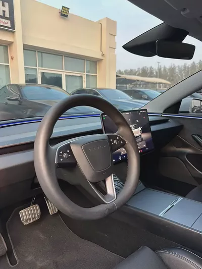 Tesla Model 3 Performance 2024 GCC Specs-10