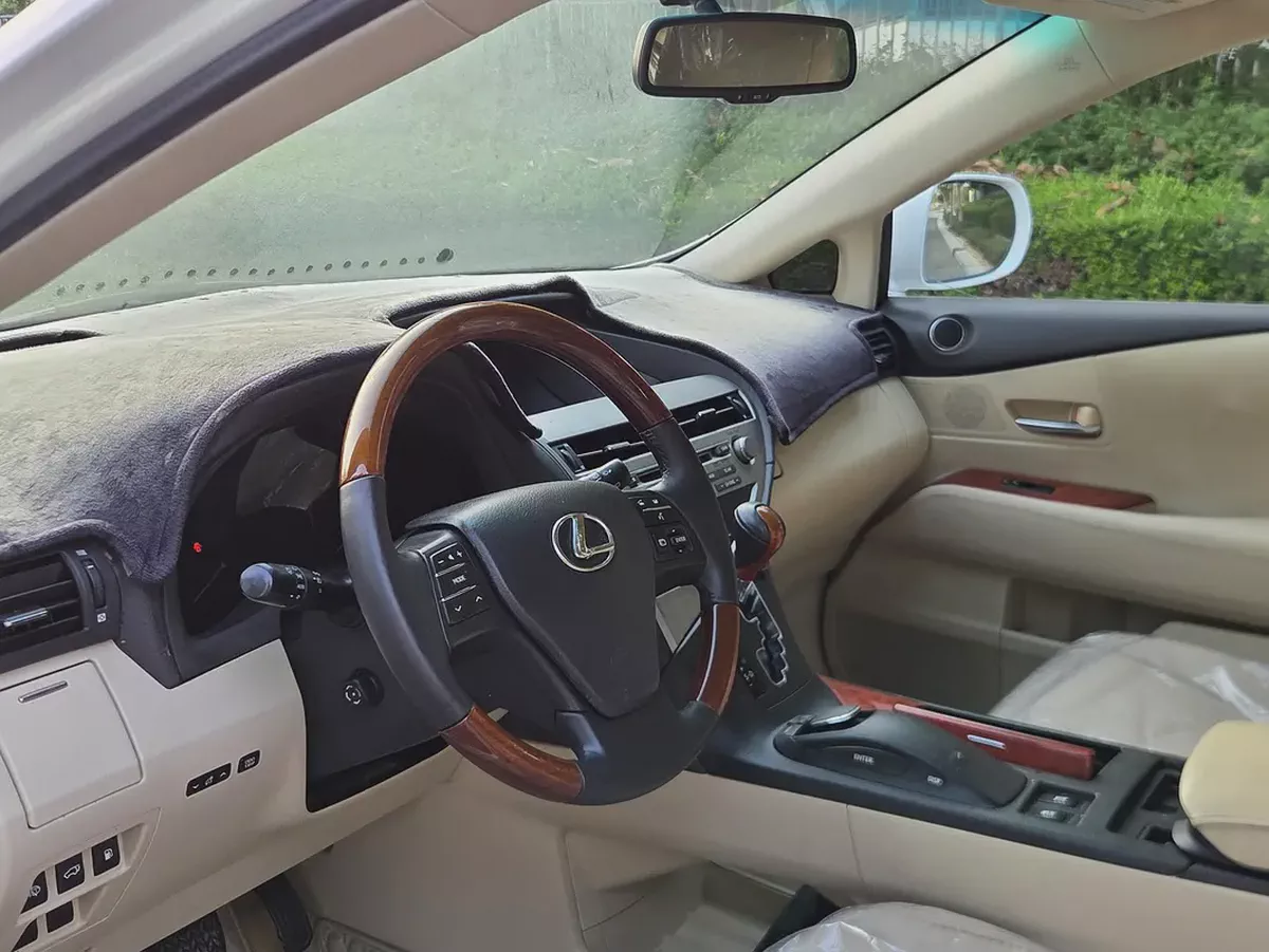 Lexus RX 350 Platinum 2010 GCC Specs in Excellent Condition-8-8