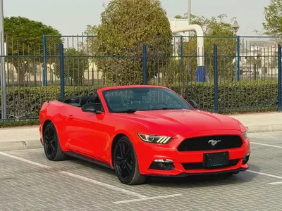 2015-Ford Mustang Ecoboost Premium-Excellent Condition-Full Service History-0