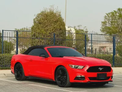 2015-Ford Mustang Ecoboost Premium-Excellent Condition-Full Service History-10