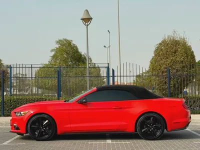 2015-Ford Mustang Ecoboost Premium-Excellent Condition-Full Service History-11
