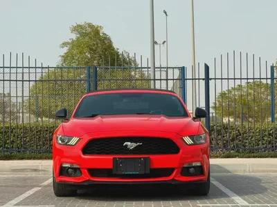 2015-Ford Mustang Ecoboost Premium-Excellent Condition-Full Service History-12