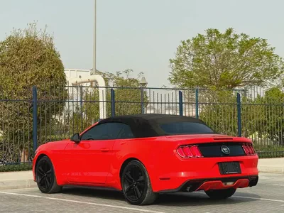 2015-Ford Mustang Ecoboost Premium-Excellent Condition-Full Service History-14