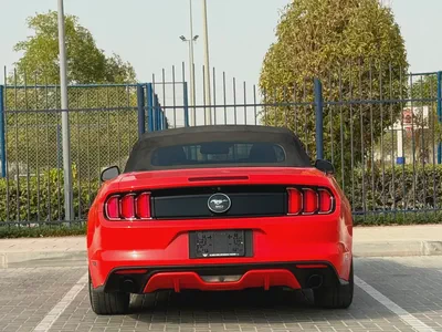 2015-Ford Mustang Ecoboost Premium-Excellent Condition-Full Service History-15