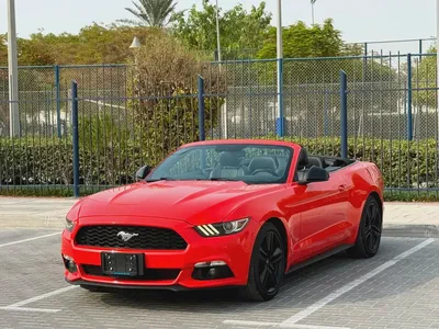 2015-Ford Mustang Ecoboost Premium-Excellent Condition-Full Service History-1