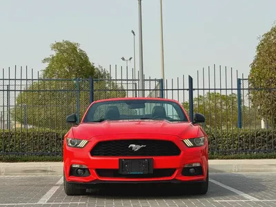 2015-Ford Mustang Ecoboost Premium-Excellent Condition-Full Service History-2