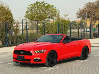2015-Ford Mustang Ecoboost Premium-Excellent Condition-Full Service History-3