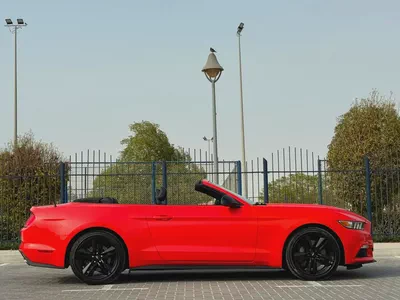 2015-Ford Mustang Ecoboost Premium-Excellent Condition-Full Service History-5