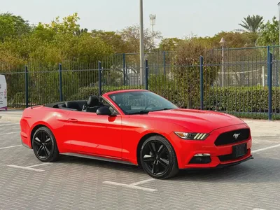 2015-Ford Mustang Ecoboost Premium-Excellent Condition-Full Service History-6