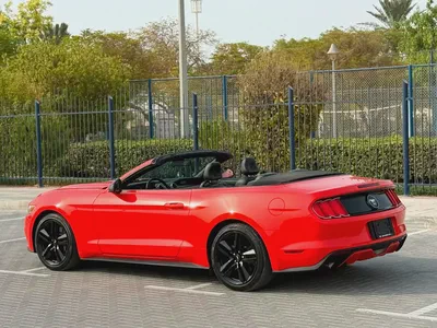 2015-Ford Mustang Ecoboost Premium-Excellent Condition-Full Service History-8