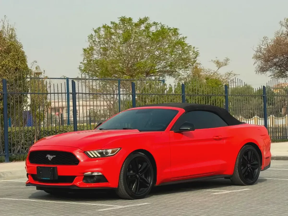 2015-Ford Mustang Ecoboost Premium-Excellent Condition-Full Service History-9-9