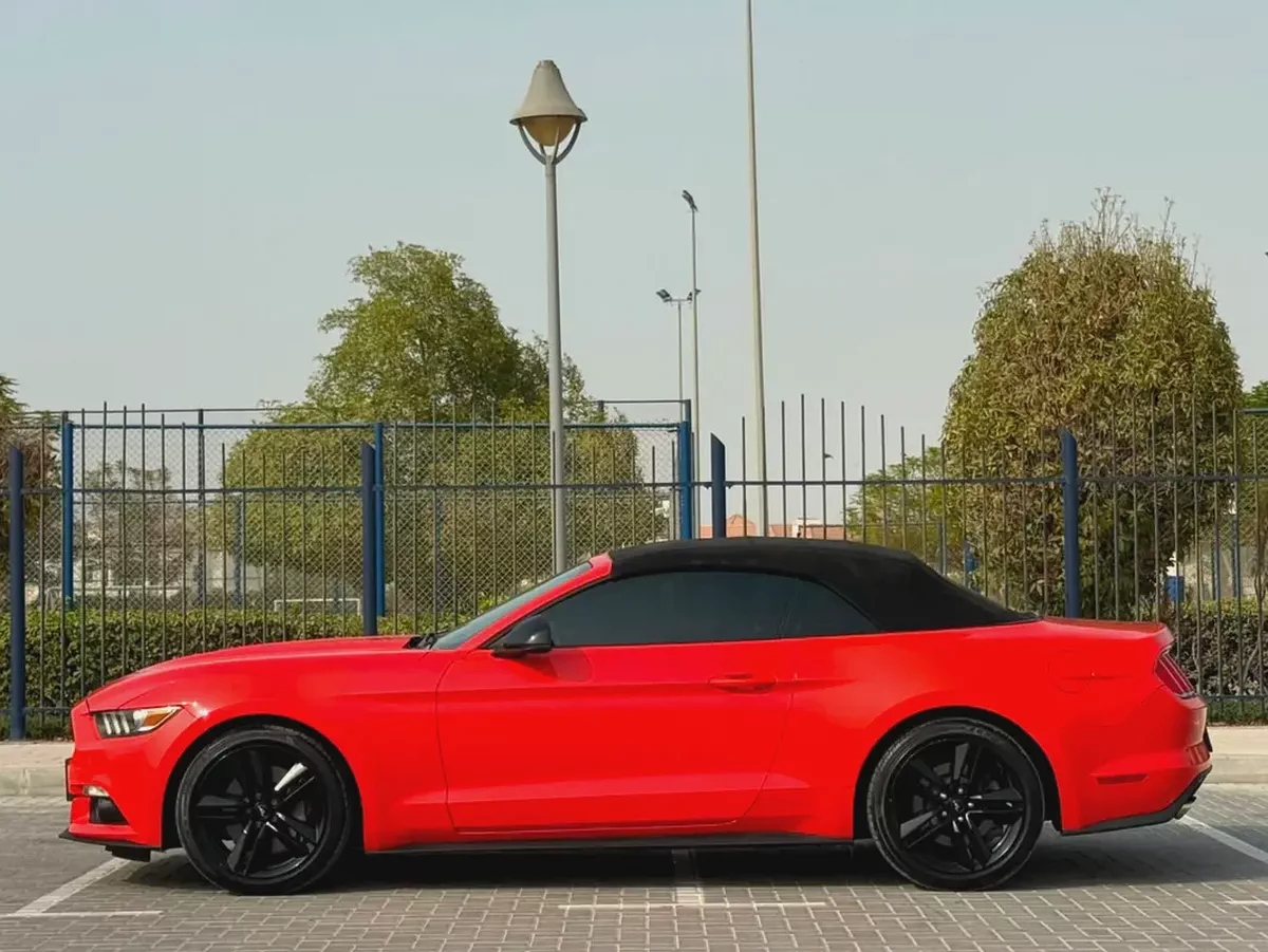 2015-Ford Mustang Ecoboost Premium-Excellent Condition-Full Service History-11-11