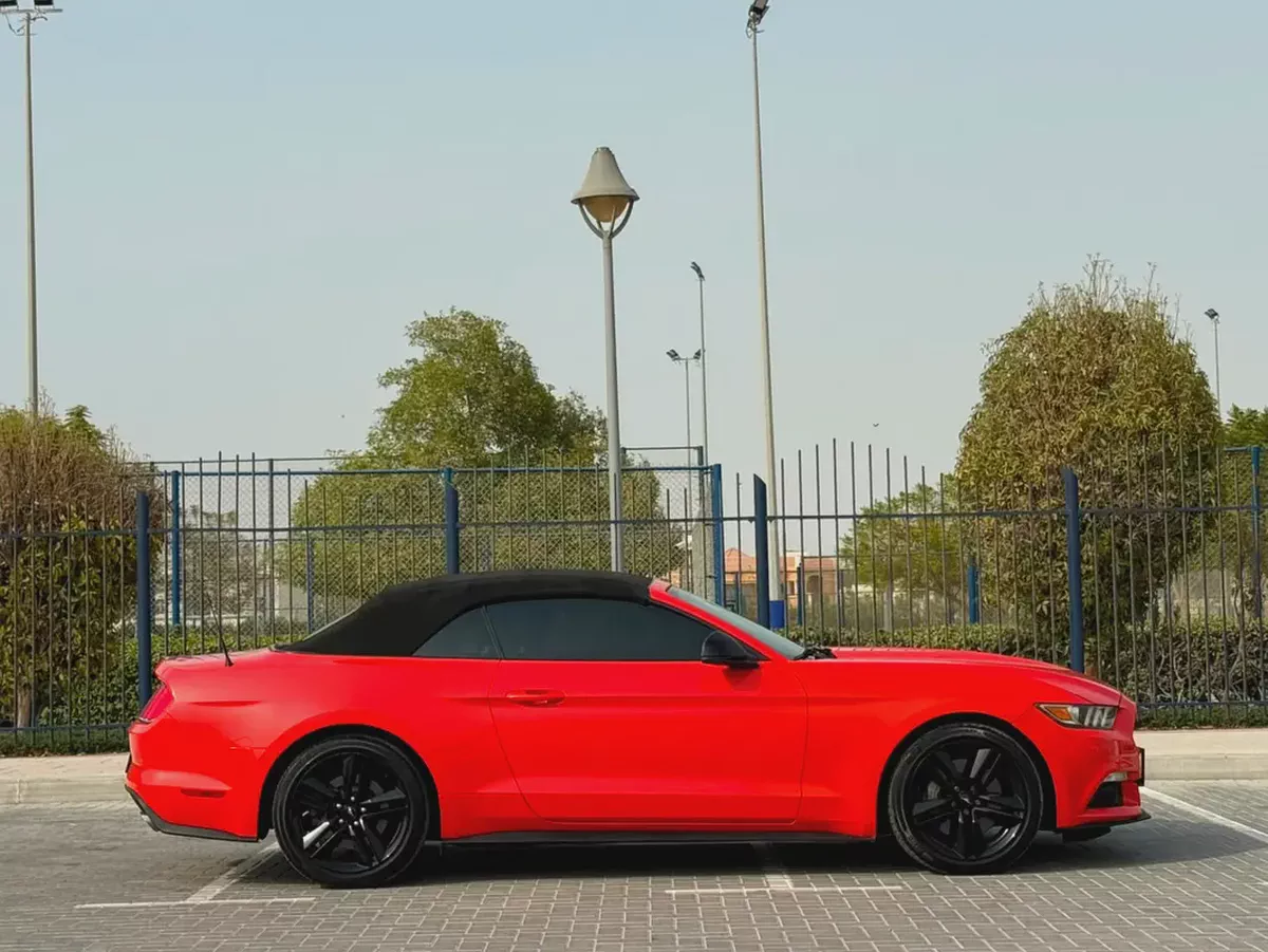 2015-Ford Mustang Ecoboost Premium-Excellent Condition-Full Service History-13-13