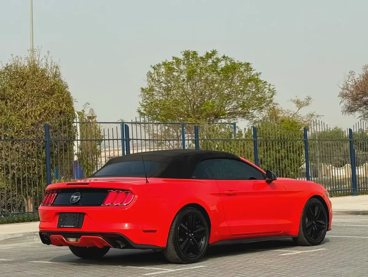 2015-Ford Mustang Ecoboost Premium-Excellent Condition-Full Service History-16-16