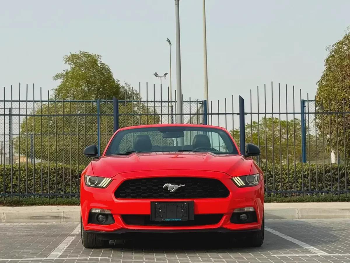 2015-Ford Mustang Ecoboost Premium-Excellent Condition-Full Service History-2-2