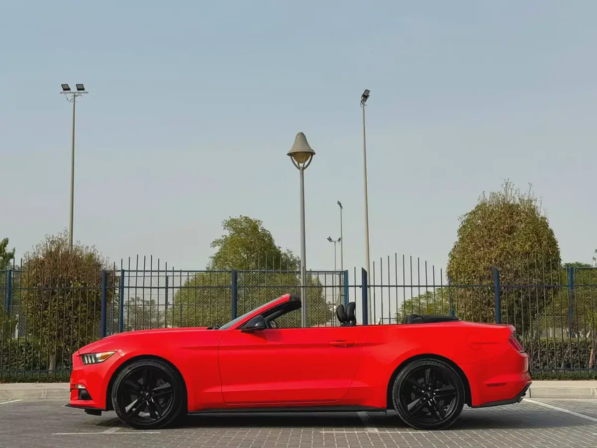 2015-Ford Mustang Ecoboost Premium-Excellent Condition-Full Service History-4-4