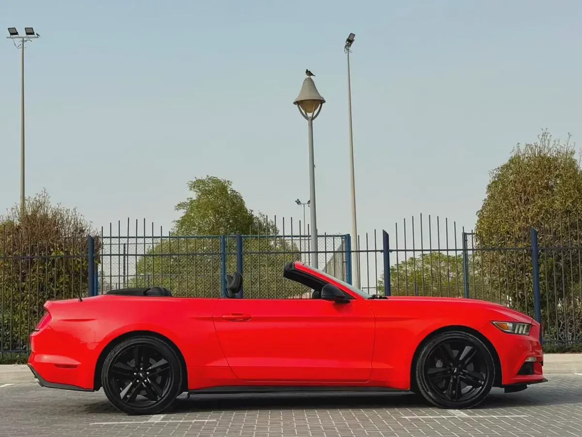 2015-Ford Mustang Ecoboost Premium-Excellent Condition-Full Service History-5-5