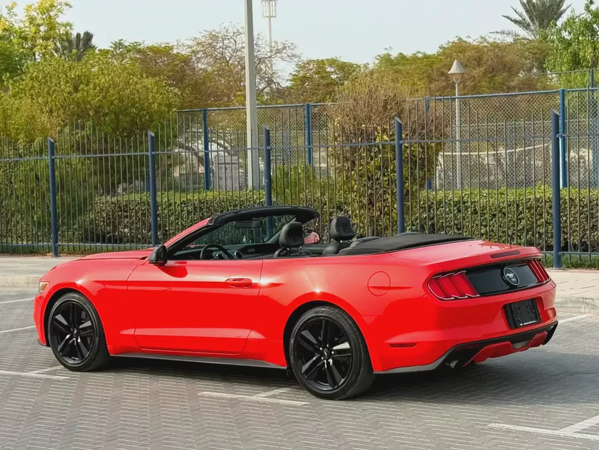 2015-Ford Mustang Ecoboost Premium-Excellent Condition-Full Service History-8-8
