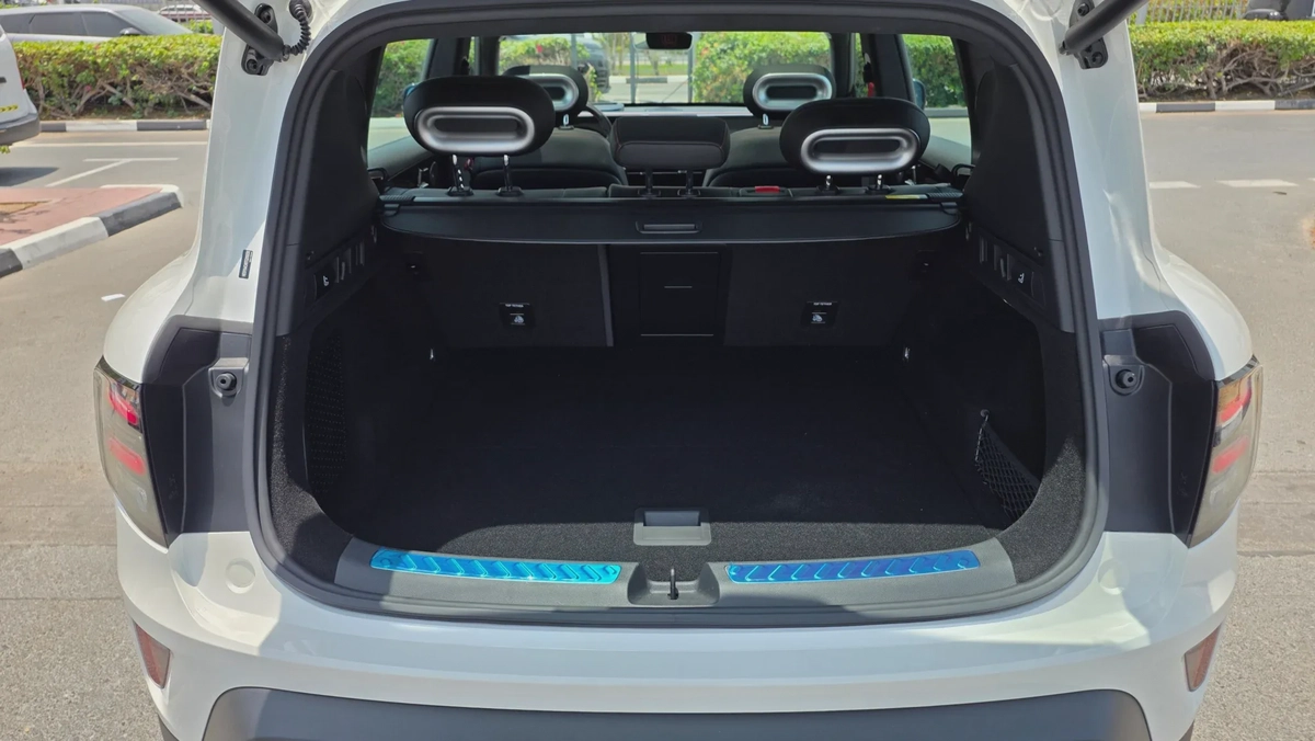 SMART #5 BRABUS (White)-21-21