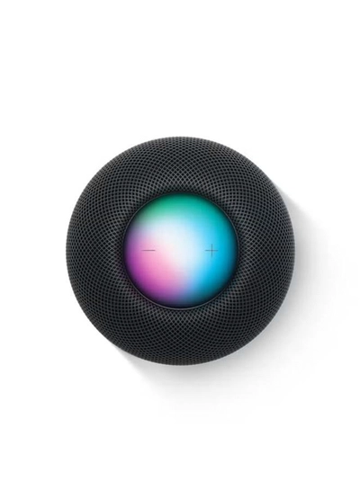 Apple Homepod Mini Space Gray-1
