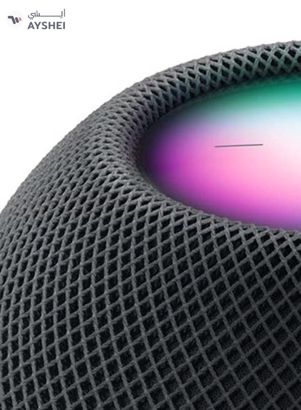 Apple Homepod Mini Space Gray