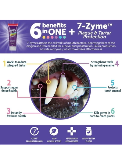 SynergyLabs Dental Fresh Enzymatic Plaque & Tartar Dental Gel 2.5 oz - 70.87 g-1