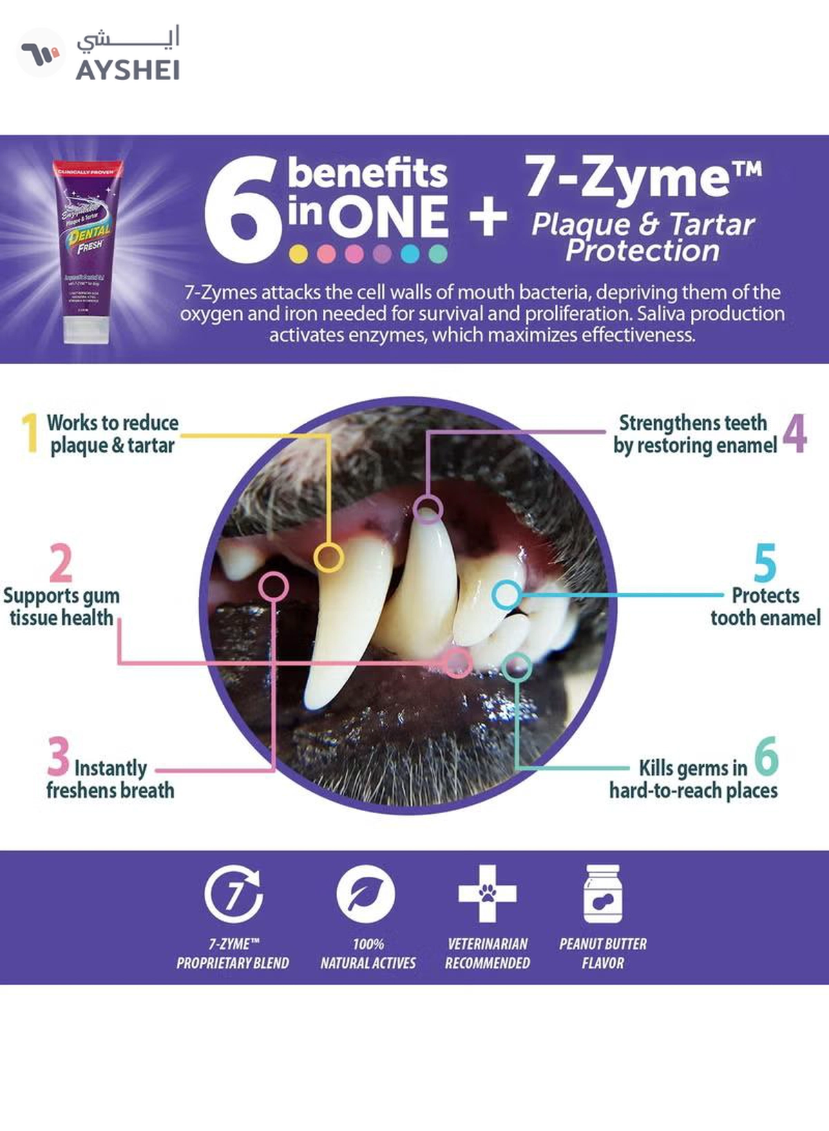 SynergyLabs Dental Fresh Enzymatic Plaque & Tartar Dental Gel 2.5 oz - 70.87 g-1-1