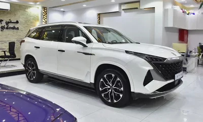 AED 1,190 EMi for 5Yrs | MG RX9 ( 2023 Model ) in White Color Chinese Specs-2