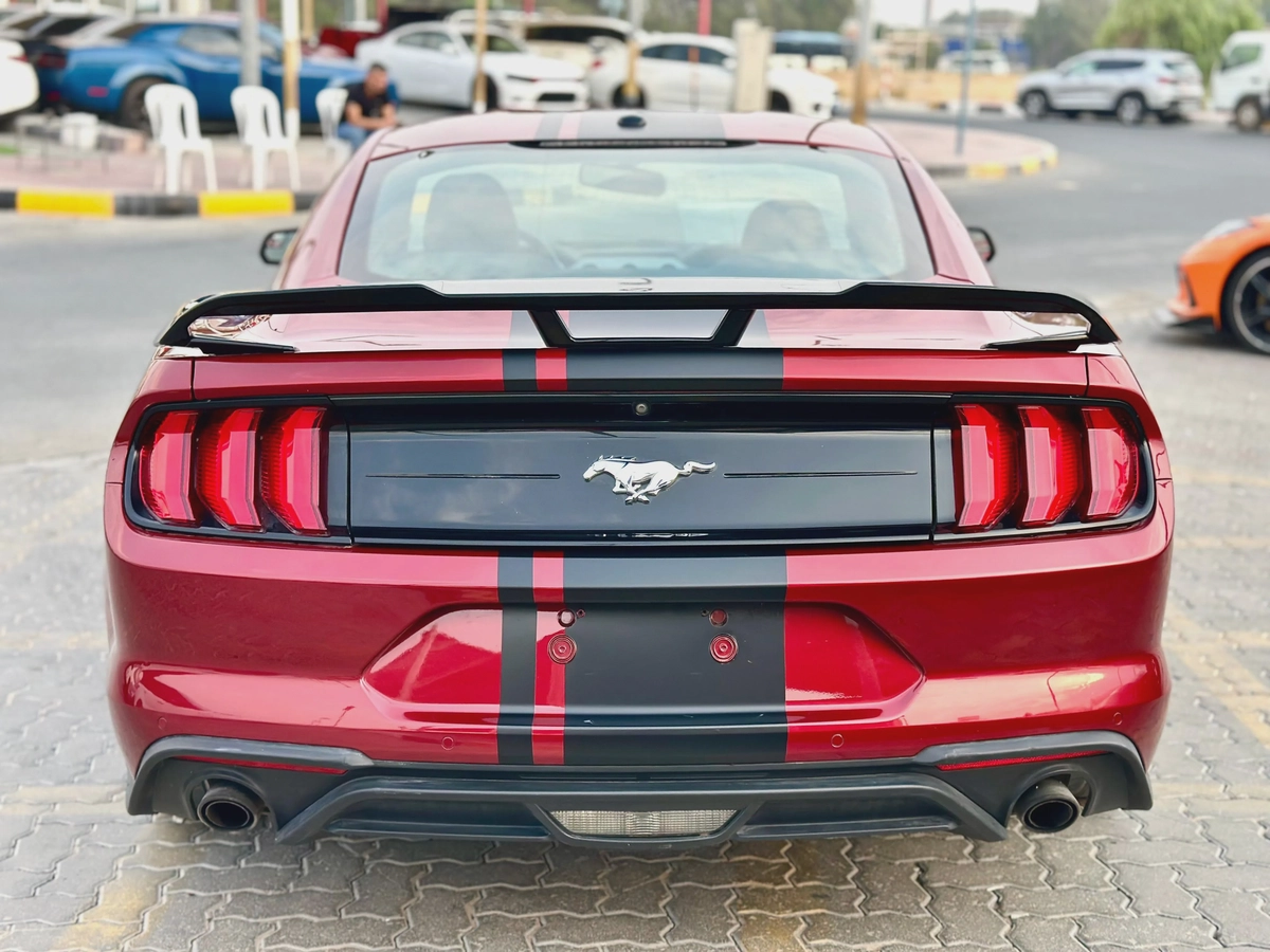 2019 Ford Mustang Ecoboost-9-9
