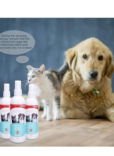 Bioline Flea & Tick Spray 175ml-2