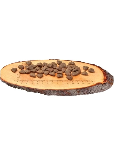 CARNILOVE Salmon for Adult Dogs 4kg-1