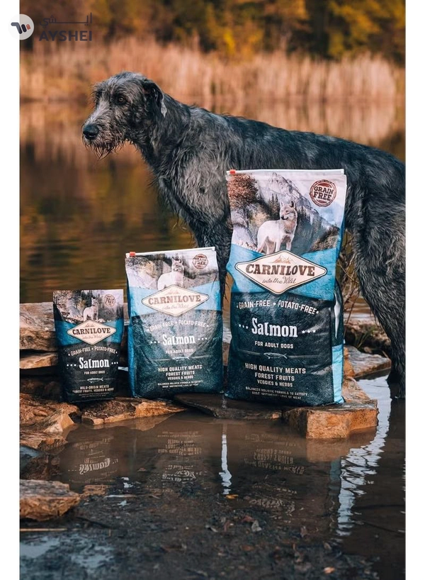 CARNILOVE Salmon for Adult Dogs 4kg