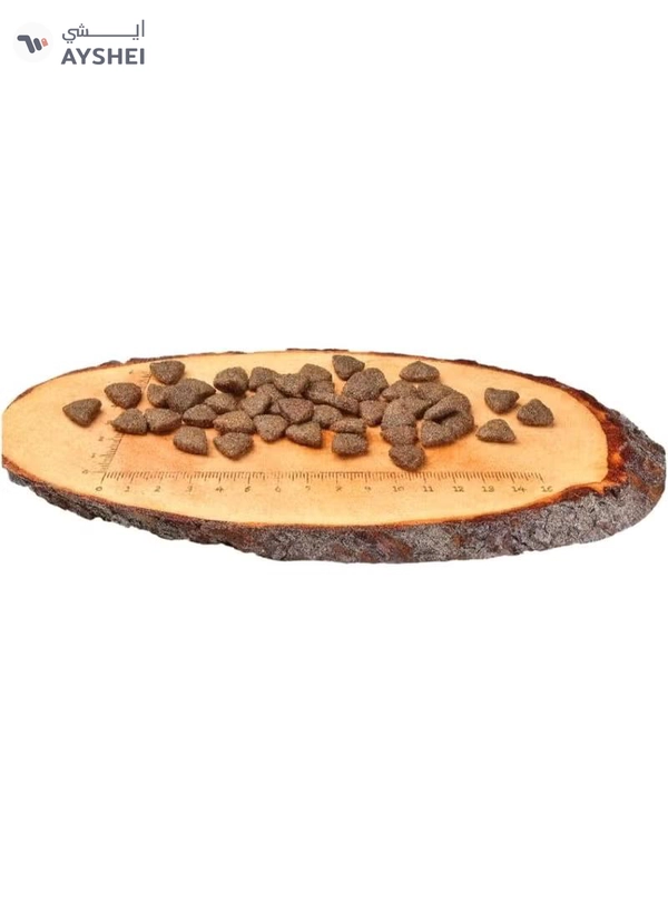 CARNILOVE Salmon for Adult Dogs 4kg
