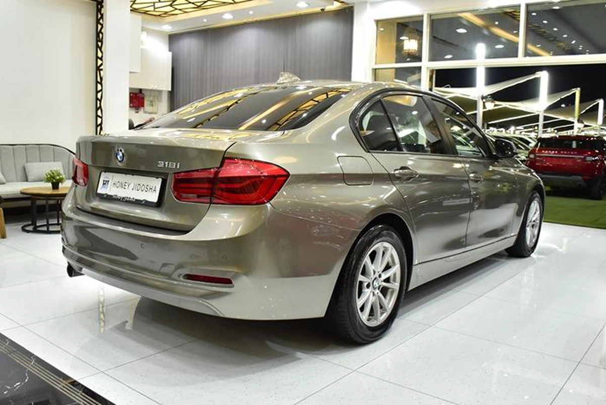 BMW 318i ( 2016 Model ) in Brown Color GCC Specs-9-9